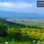 Limites du parc des Virunga : les riverains soutiennent la démarche de paix du gouverneur du Nord-Kivu