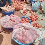 Butembo : le prix d’un bassin de tomates passe de 40 000 à 80 000 FC sur le marché 