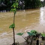Kasindi : une femme emportée par des eaux en crue de la rivière Lubiriha 