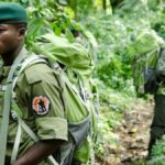 Rutshuru : 2 écogardes de l’ICCN tués dans une attaque armée à Kamuhororo